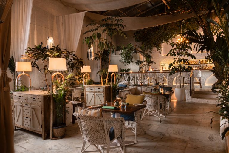 The All New Olive Beach: A Perfect Blend of Comfort and Innovation