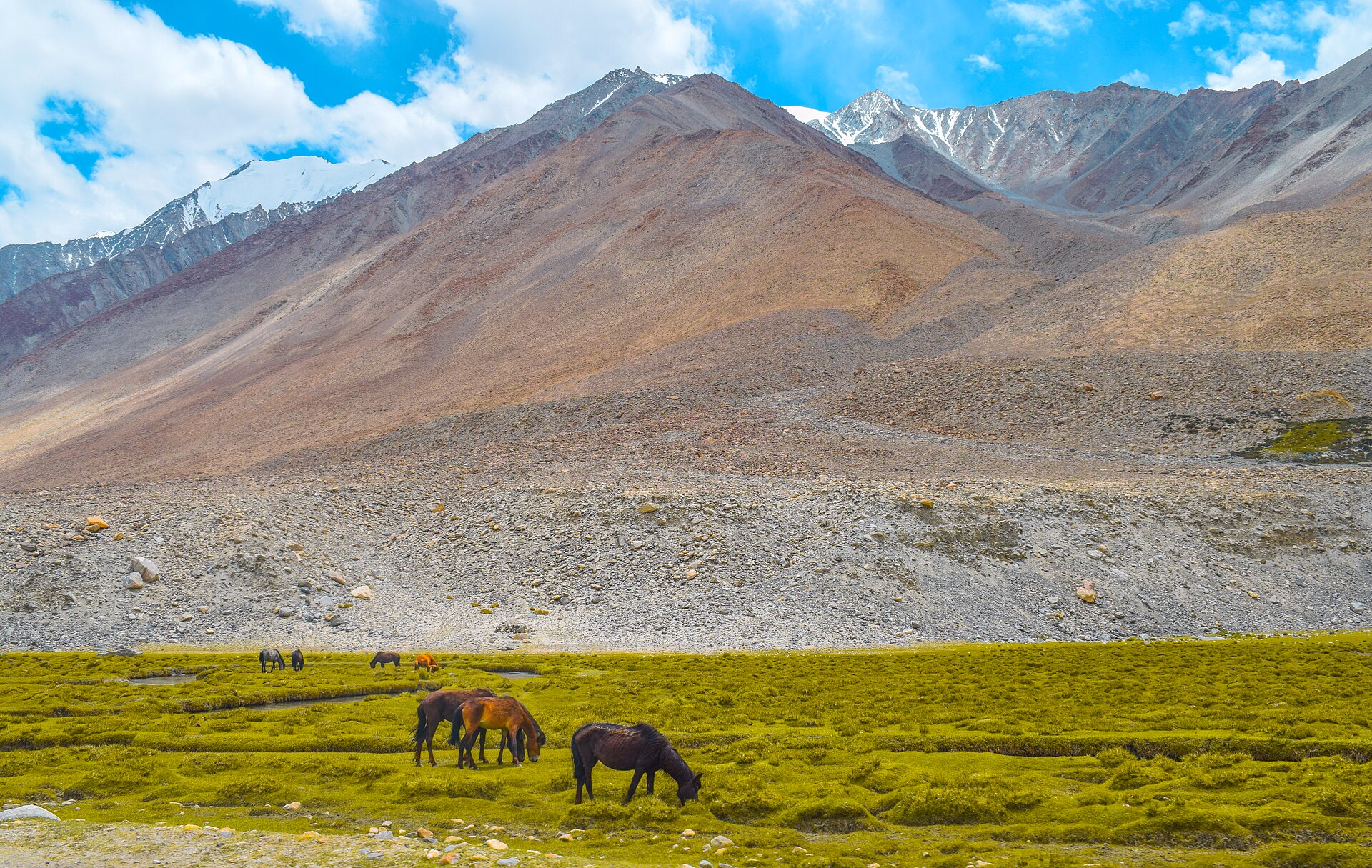 Rocky mountain slopes and a meadow near Pangong Tso in Ladakh