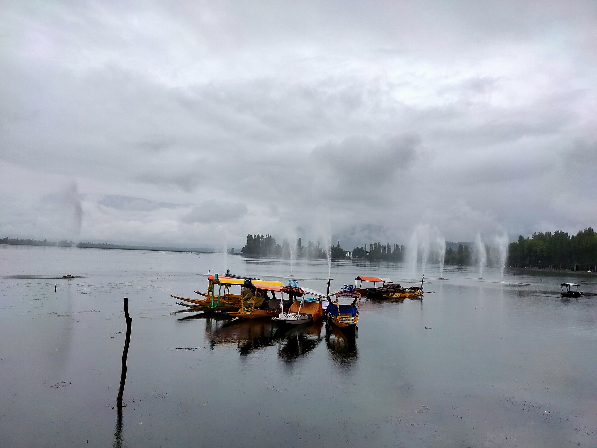 Colourful shikara boats on Dal Lake in Srinagar beneath a cloudy sky
