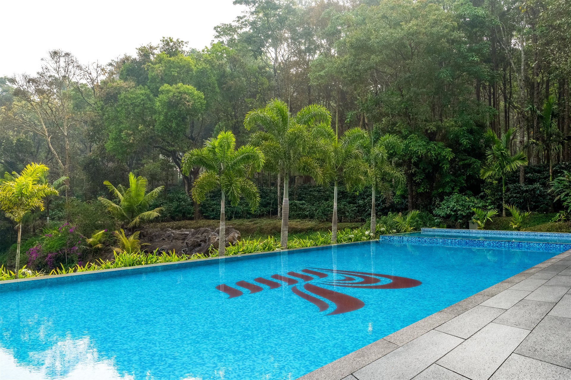 Swimming pool surrounded by palms and trees at Rosetta Sakleshpur