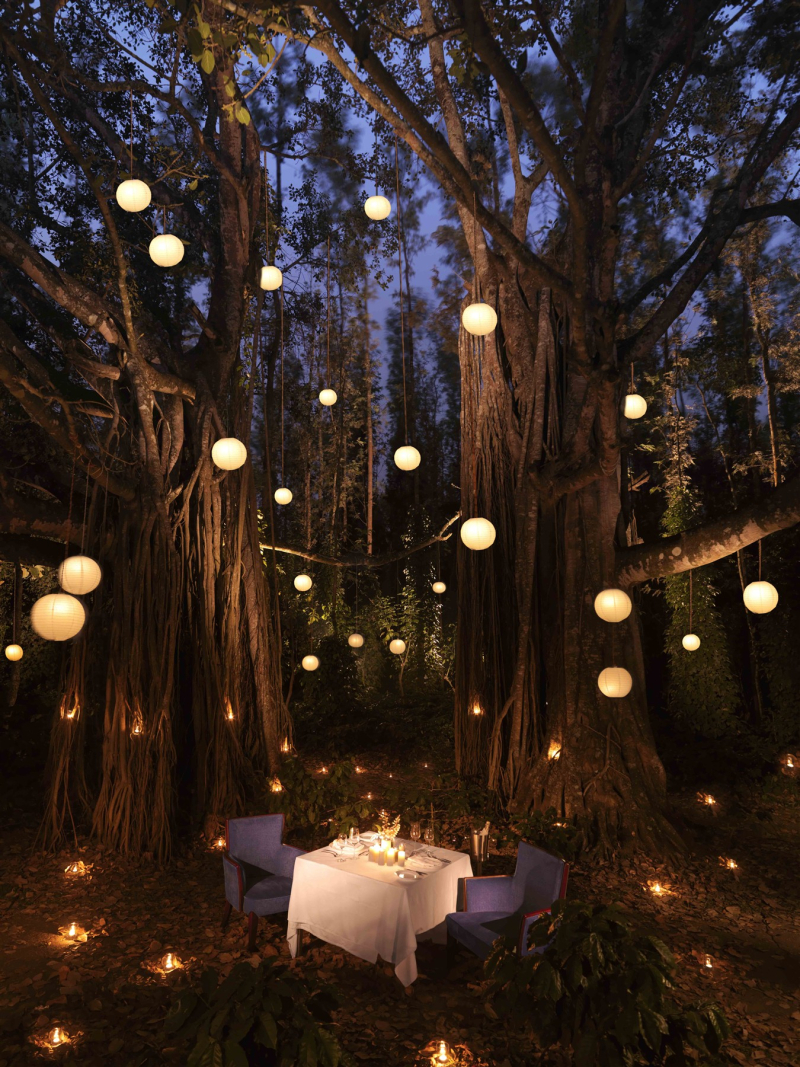 A lantern-lit dining setup among the trees at The Serai Chikmagalur.